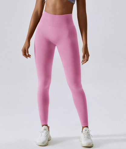 High rise seamless Leggings